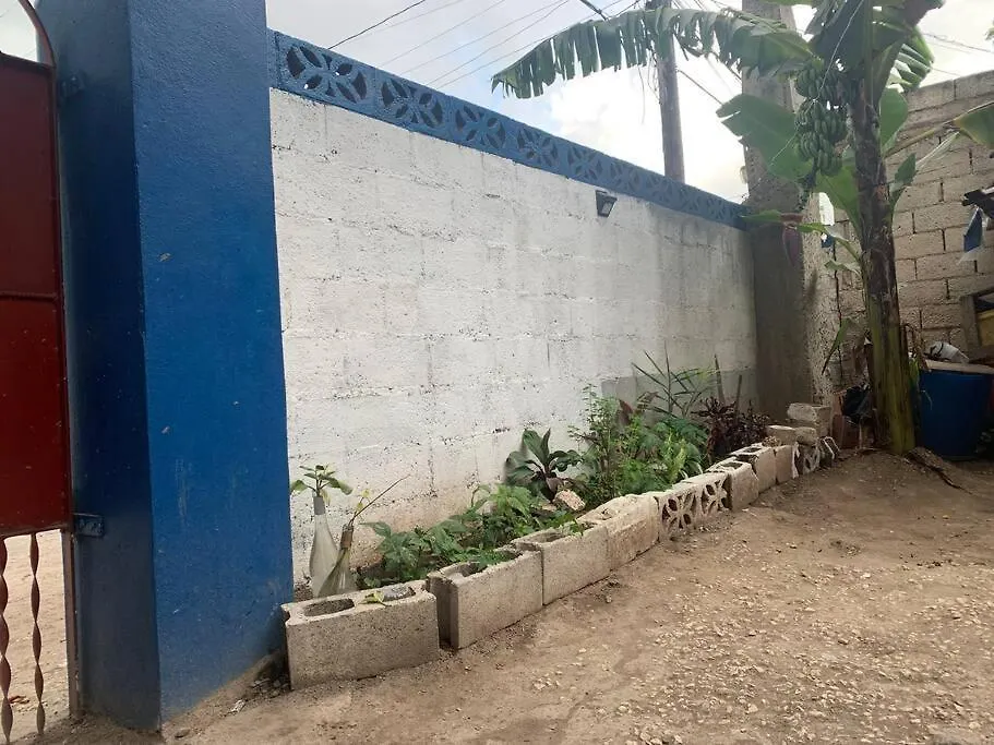 Apartment Forrest Family Property Kingston Jamaica