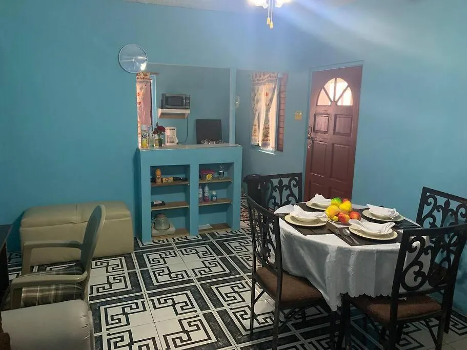 Forrest Family Property Kingston Jamaica